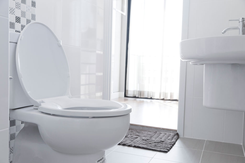Different Toilet Options To Inspire Your Bathroom Renovation: Insights From Your Professional Plumber