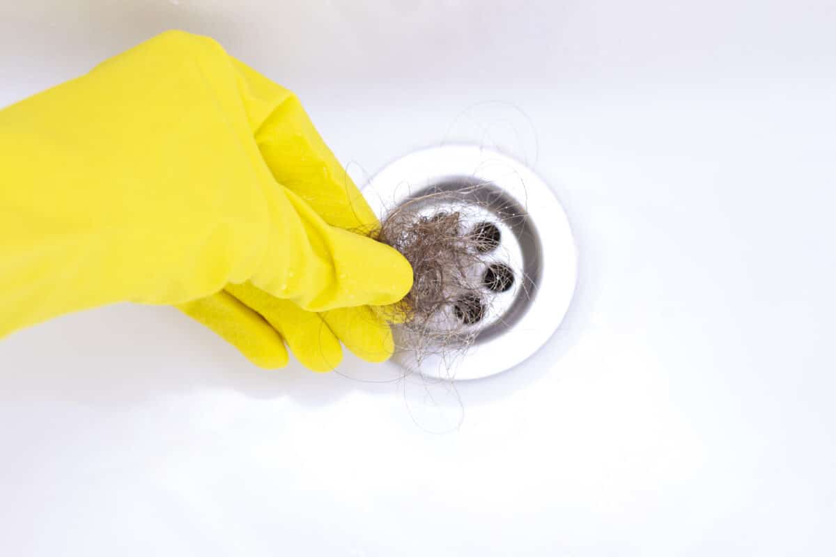 Hair from a clogged drain, held in a gloved hand.