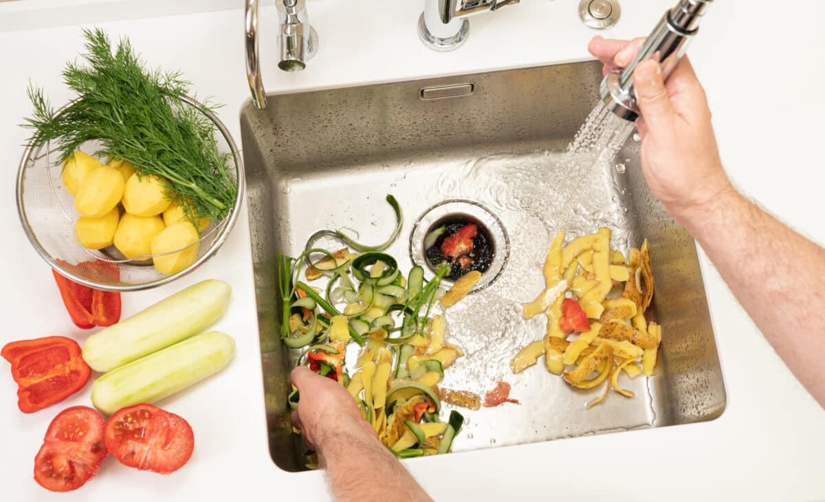 Garbage Disposal Repair.